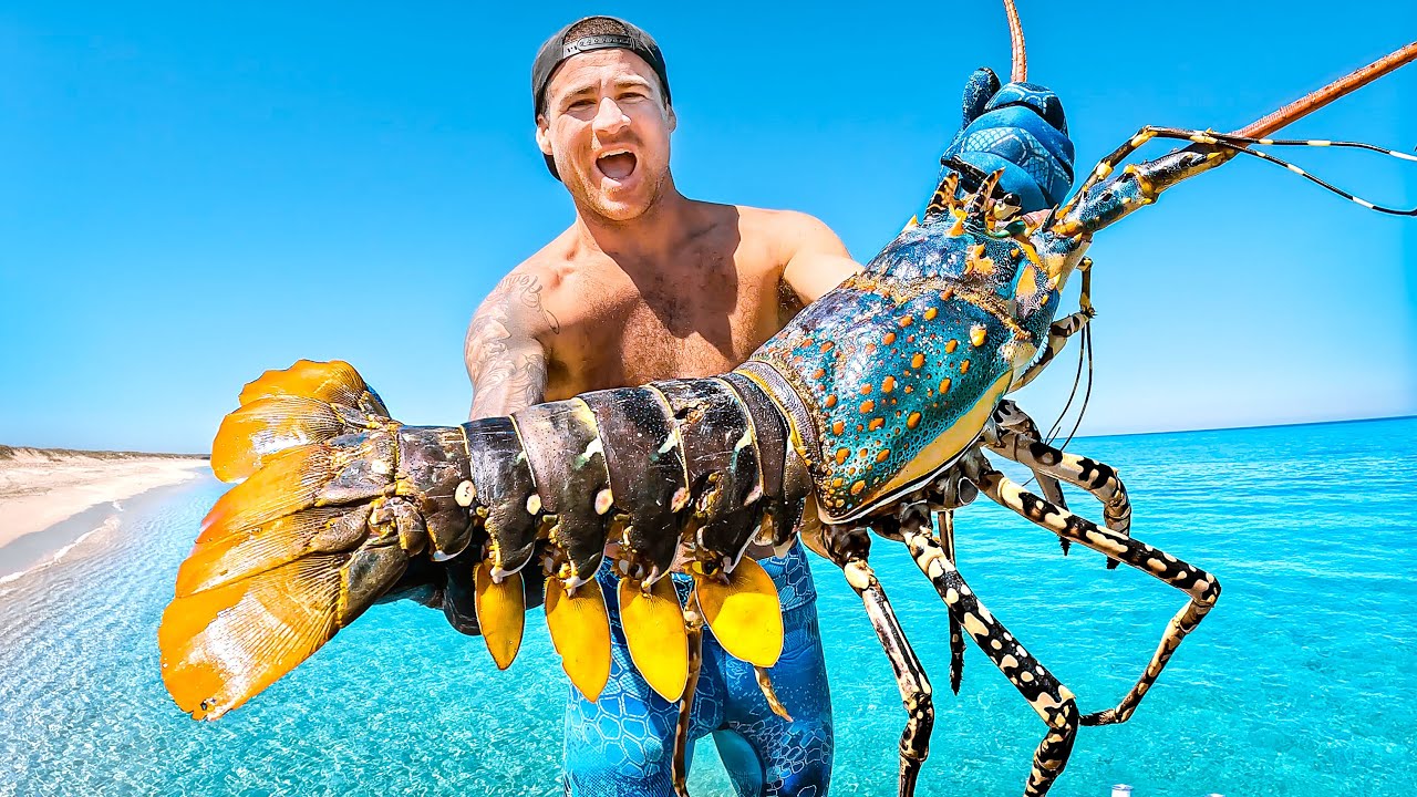 YBS Youngbloods – Catching Giant Lobsters For Food On Remote Island ...