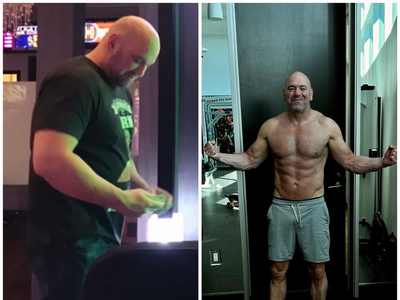 The Secret To Dana Whites Body Transformation Superhuman Protocol Shock Mansion 